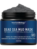 new-york-biology-dead-sea-mud-mask-8-8-oz-for-face-and-body-spa-quality-pore-refiner-for-oily-skin