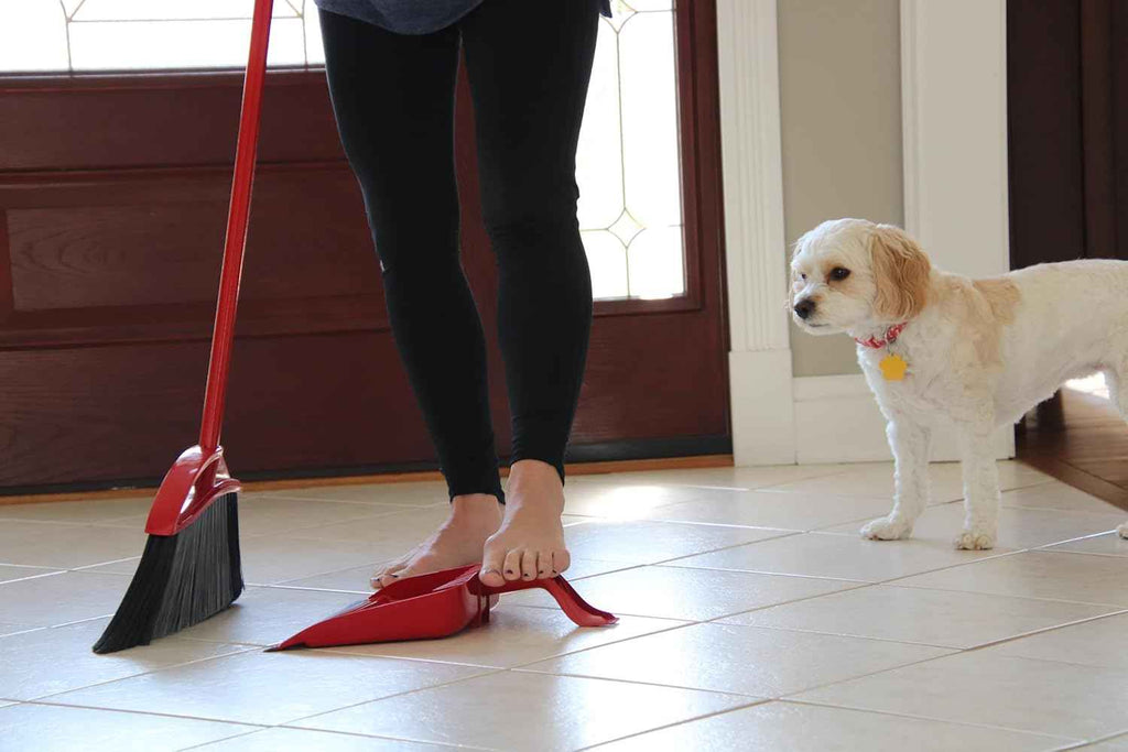 O-Cedar Pet Pro Broom with Step-On Dustpan | Remove 99% with One Sweep | DustPan Removes 3 Times More Pet Hair | Quiet Cleaning Tool for Cat and Dog Owners