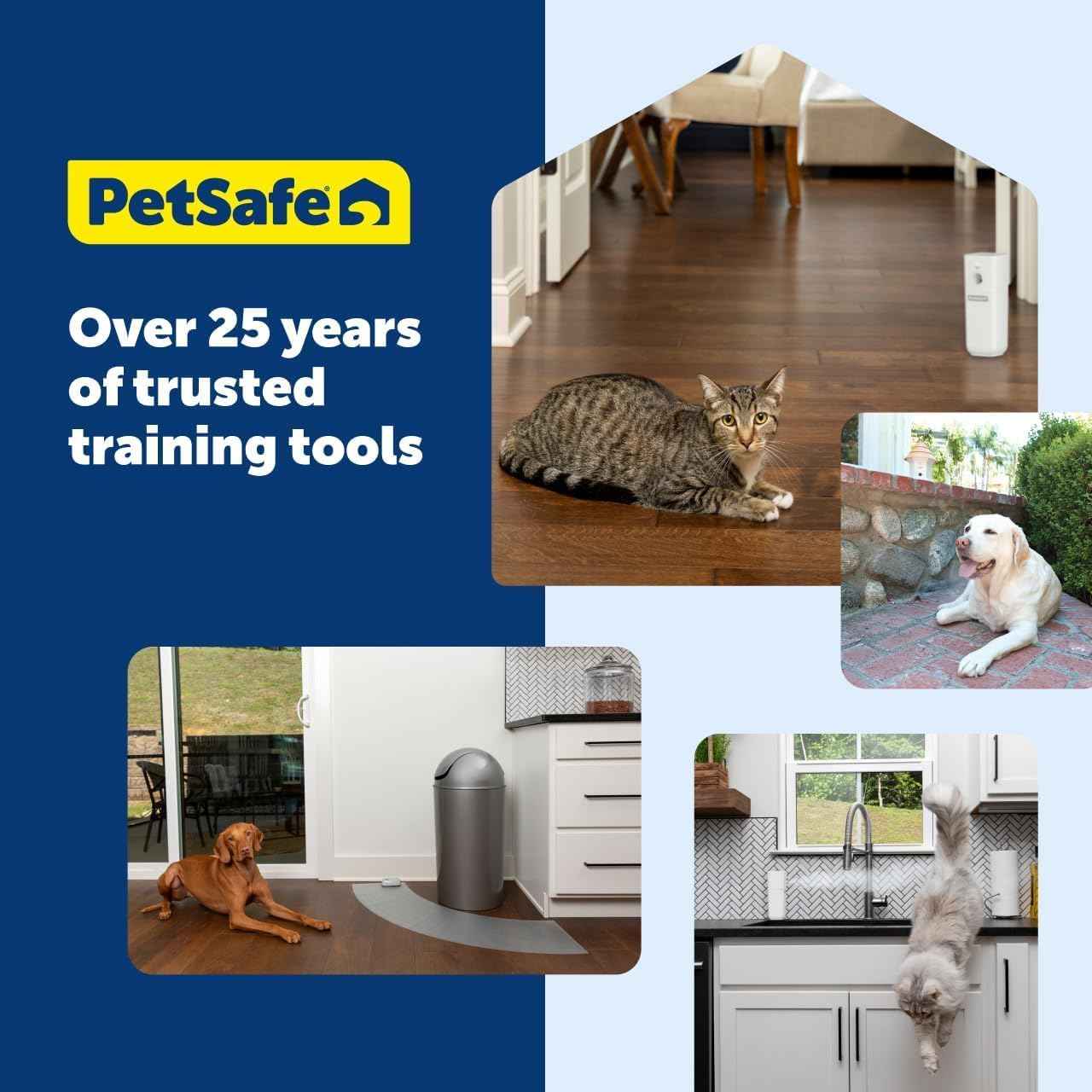 PetSafe Dog Collar Batteries (2 Pack) Dog Collar Battery Waterproof Lithium Metal Product, Rfa-67d-11