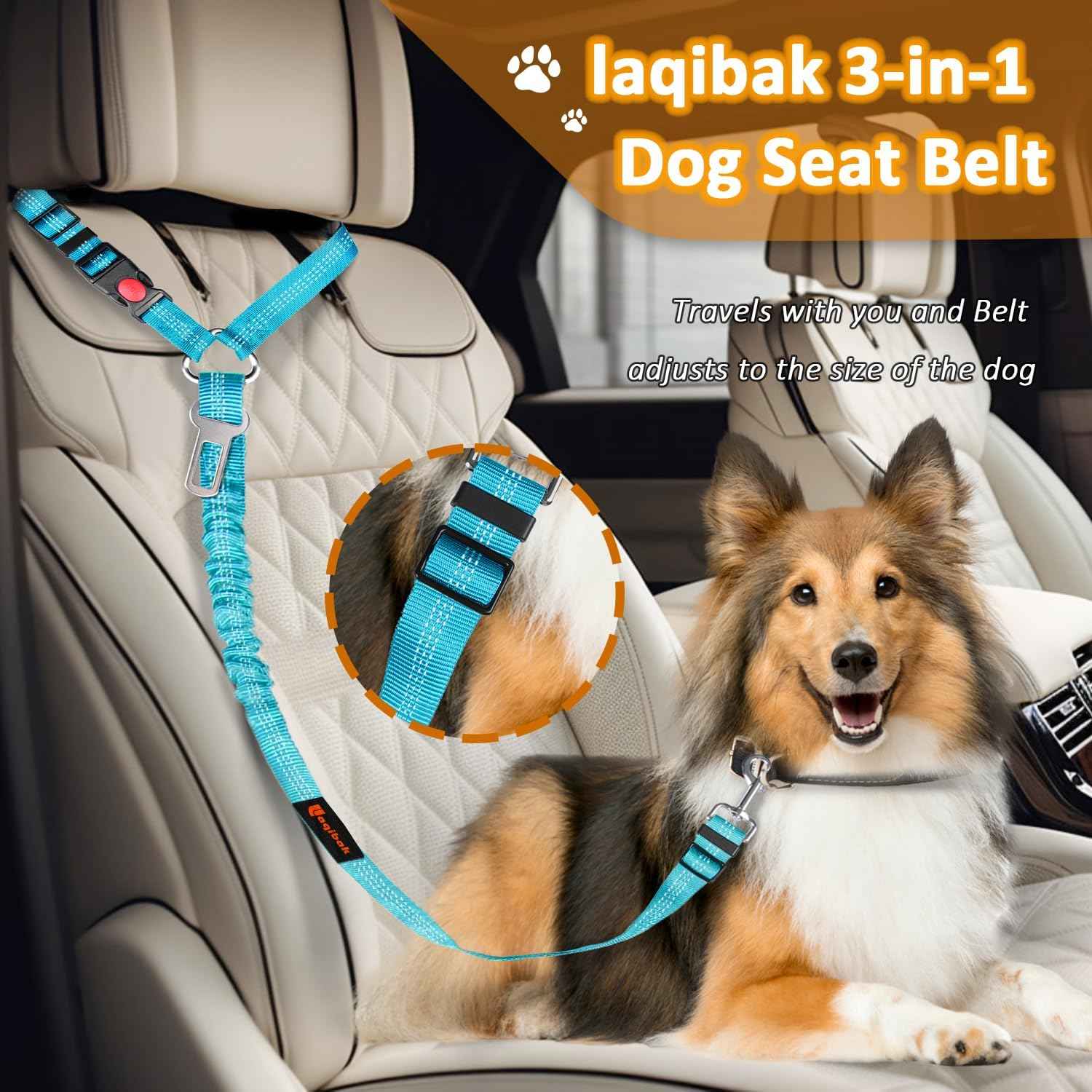 Blue and Black 3 in 1 Pet Dog Car Seatbelt Leash with Retractable Restraint and Adjustable Reflective Bungee Tether