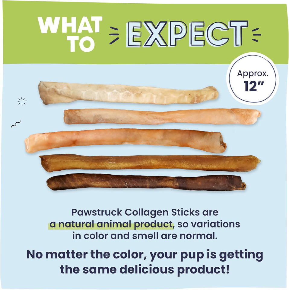 Pawstruck natural large 12 inch beef collagen sticks for dogs - long lasting rawhide alternative with high protein and chondroitin - 5 pack