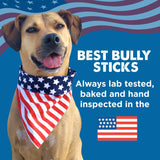 Best Bully Sticks Thick 6 Inch Natural Beef Bully Sticks for Large Breeds Dogs - Single Ingredient - 5 Count