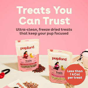 PLpford Freeze Dried Training Treats for Dogs & PLppies, 475+ Three Ingredient Bites (Beef Liver, 4 oz)