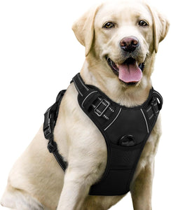 rabbitgoo Dog Harness No PLll with 2 Leash Clips, Adjustable Soft Padded, Reflective Oxford No Choke Pet Vest with Easy Control Handle for Large Dogs, Black, L