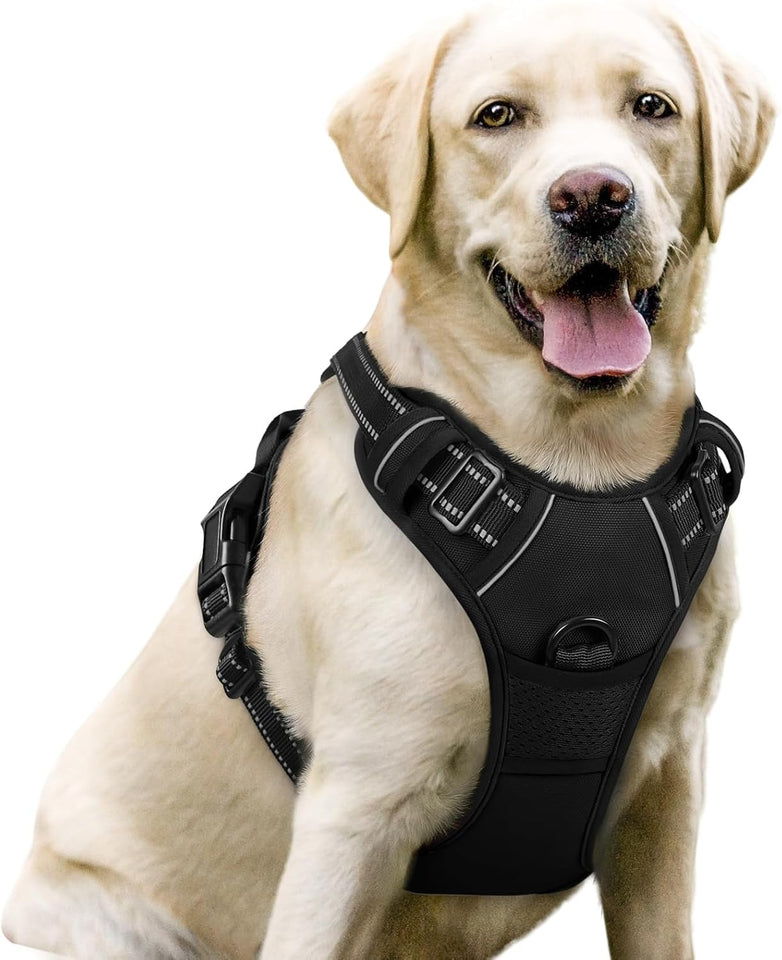 rabbitgoo Dog Harness No PLll with 2 Leash Clips, Adjustable Soft Padded, Reflective Oxford No Choke Pet Vest with Easy Control Handle for Large Dogs, Black, L