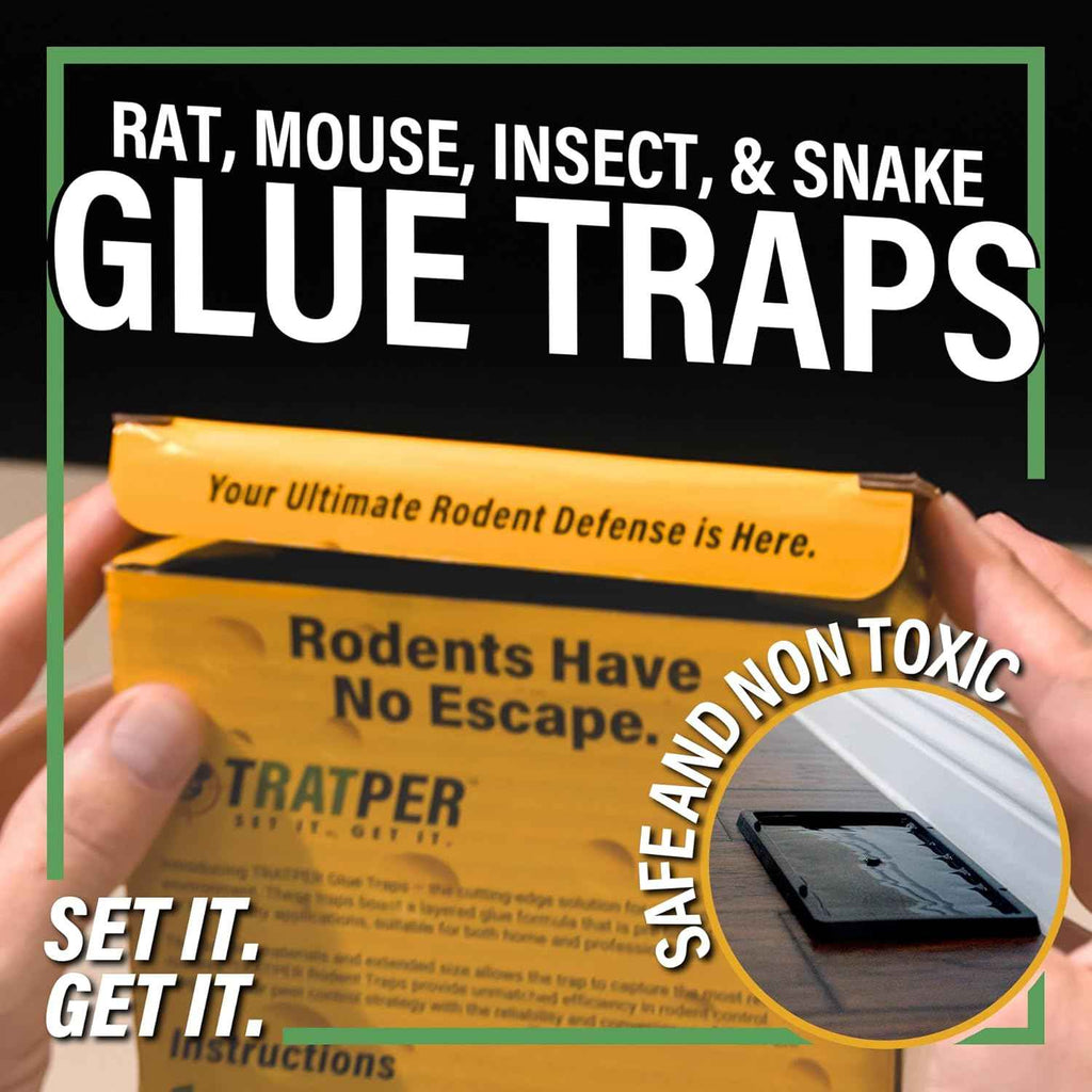 Heavy Duty Plastic Glue Traps for Mice, Rats, Snakes, Lizards, Insects - Extra Strength, Pre-Baited Adhesive - 10 Pack
