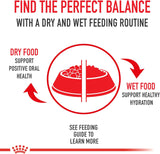 royal canin small adult dry dog food, 14 lb bag for small breed dogs aged 10 months to 8 years
