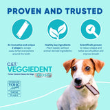 Virbac C.E.T. VEGGIEDENT FR3SH Tartar Control Chews for Medium Dogs, Beef, 1.6 Pounds