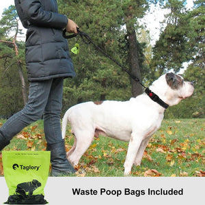 Taglory Rope Dog Leash 6 FT with Comfortable Padded Handle, Highly Reflective Threads Leash and Anti-Tangle Clip for Walking Medium Large Dogs, 1/2 inch, Black