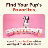 PLpford Freeze Dried Training Treats for Dogs & PLppies, 475+ Three Ingredient Bites (Beef Liver, 4 oz)