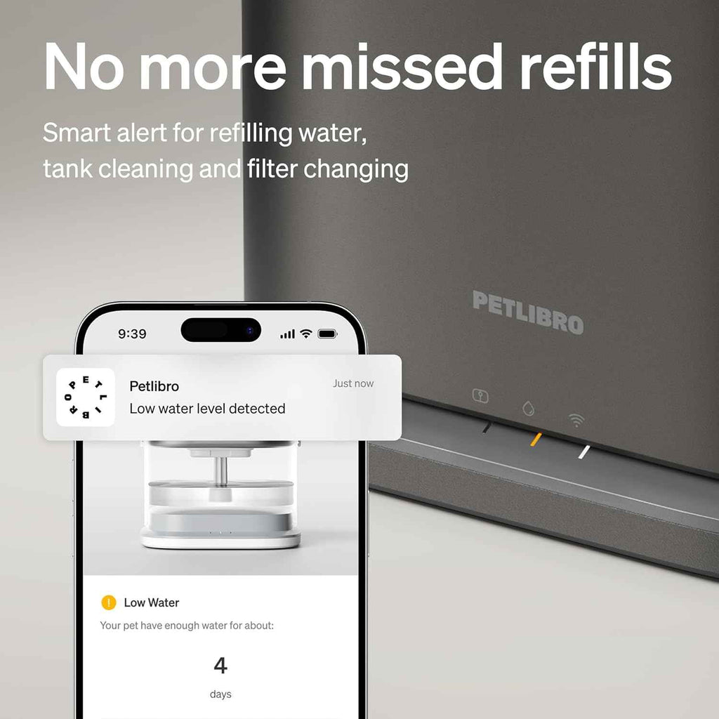 petlibro stainless steel cat water fountain with 5g wifi app monitoring for indoor use