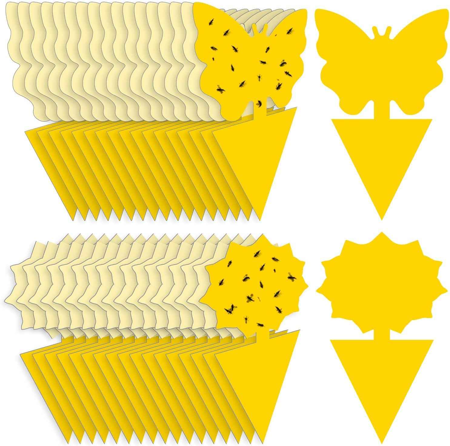 Yello Sticky Fruit Fly and Fungus Gnat Traps 36 Pack No Harm and Odorless for Indoor Outdoor Use Protect Plants