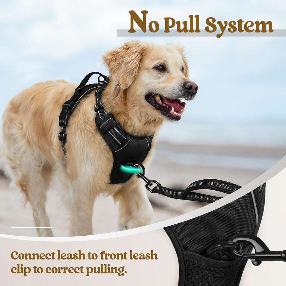rabbitgoo Dog Harness No PLll with 2 Leash Clips, Adjustable Soft Padded, Reflective Oxford No Choke Pet Vest with Easy Control Handle for Large Dogs, Black, L