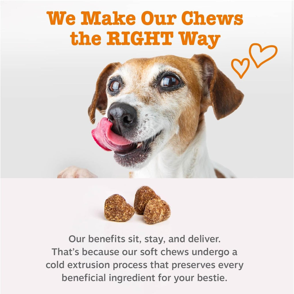 Zesty Paws Dog Multivitamin, Chewable Dog Vitamins and Supplements for Hip & Joints, Skin & Coat, Omega 3 Fish Oil for Dogs- Senior & PLppy Multivitamin- Chicken- 90ct