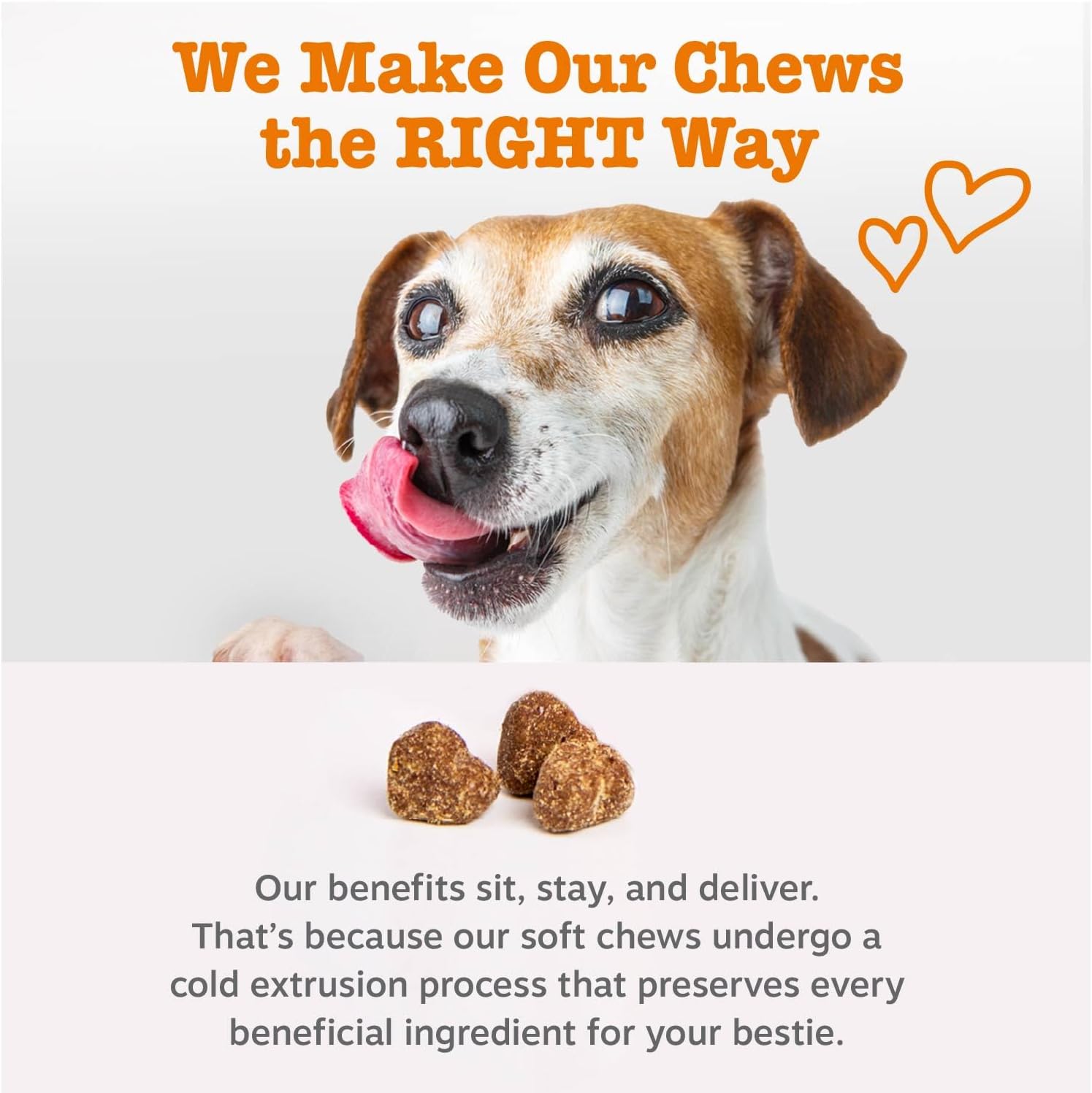 Zesty Paws Dog Multivitamin, Chewable Dog Vitamins and Supplements for Hip & Joints, Skin & Coat, Omega 3 Fish Oil for Dogs- Senior & PLppy Multivitamin- Chicken- 90ct