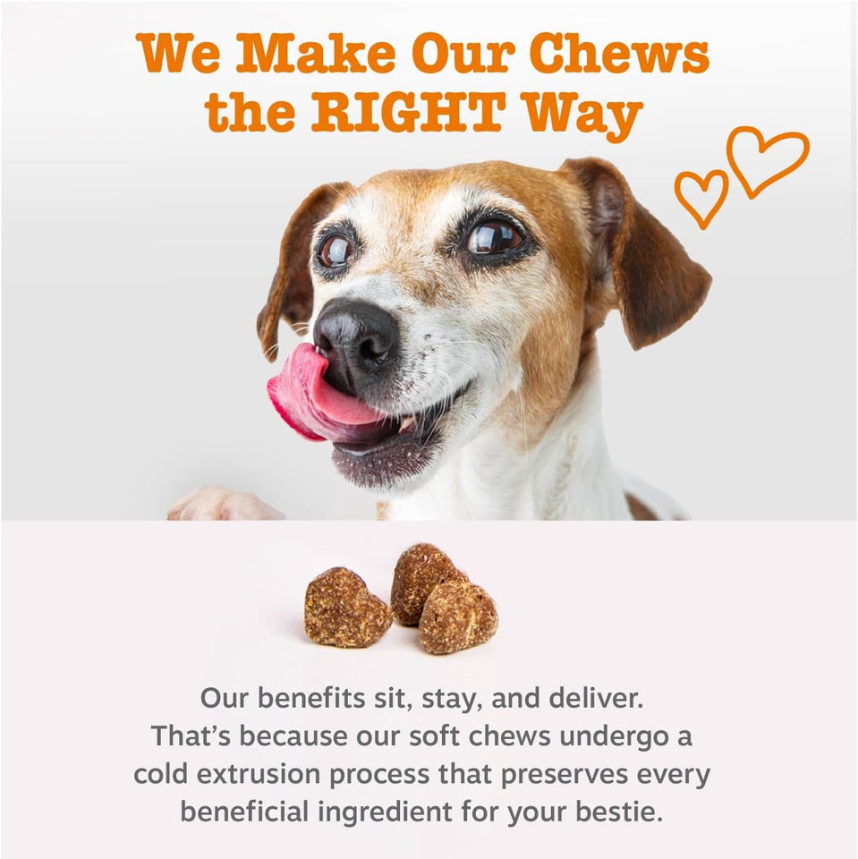 Zesty Paws Dog Multivitamin, Chewable Dog Vitamins and Supplements for Hip & Joints, Skin & Coat, Omega 3 Fish Oil for Dogs- Senior & PLppy Multivitamin- Chicken- 90ct