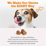Zesty Paws Dog Multivitamin, Chewable Dog Vitamins and Supplements for Hip & Joints, Skin & Coat, Omega 3 Fish Oil for Dogs- Senior & PLppy Multivitamin- Chicken- 90ct