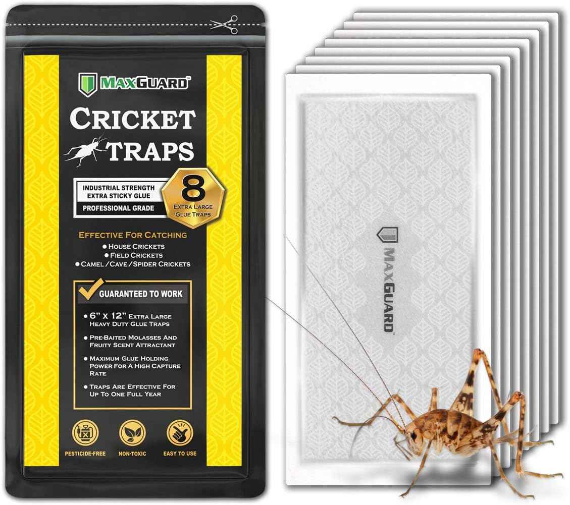 maxguard-extra-large-cricket-traps-8-traps-non-toxic-extra-sticky-glue-pre-baited-cricket-attractant-trap-kill
