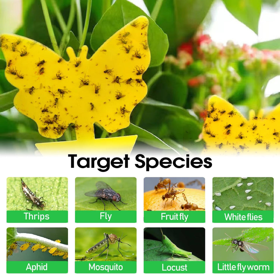 58 Pack Flying Insect Traps for Plants – Yellow Sticky Traps for Fungus Gnats, Flies & Flying Bugs, Indoor Outdoor Flying Bug Catcher for Pots, Garden & Kitchen, Kid & Pet Safe, Non-Toxic, Odorless