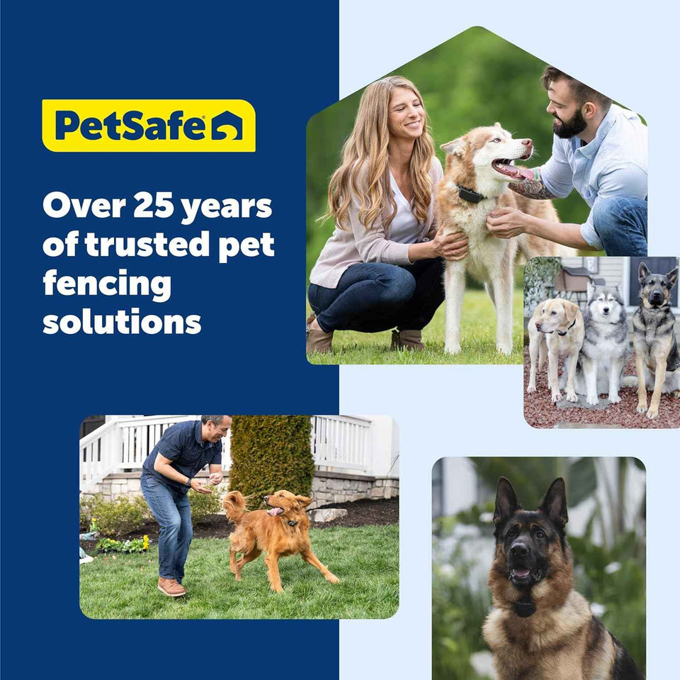 PetSafe Wireless Pet Containment System Receiver Collar - Battery-Operated & Waterproof - Adjustable Receiver Collar with 5 Correction Levels - for Dogs 5lb+