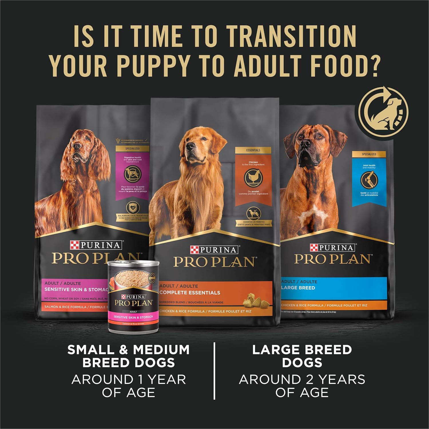 Purina Pro Plan High Protein Puppy Food Shredded Blend Chicken & Rice Formula - 6 lb Bag