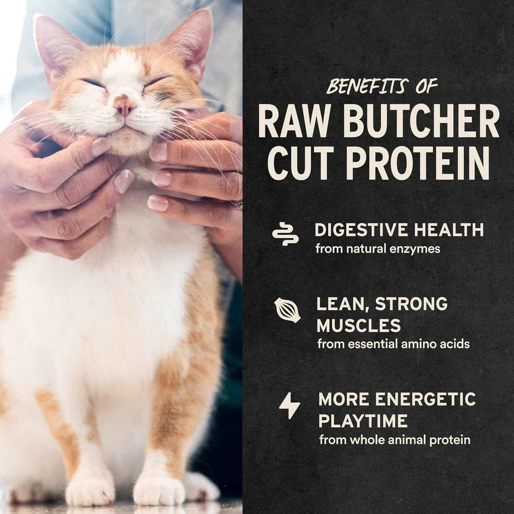 Vital Essentials Minnows Cat Treats, 0.5 oz | Freeze-Dried Raw | Single Ingredient | Grain Free, Gluten Free, Filler Free
