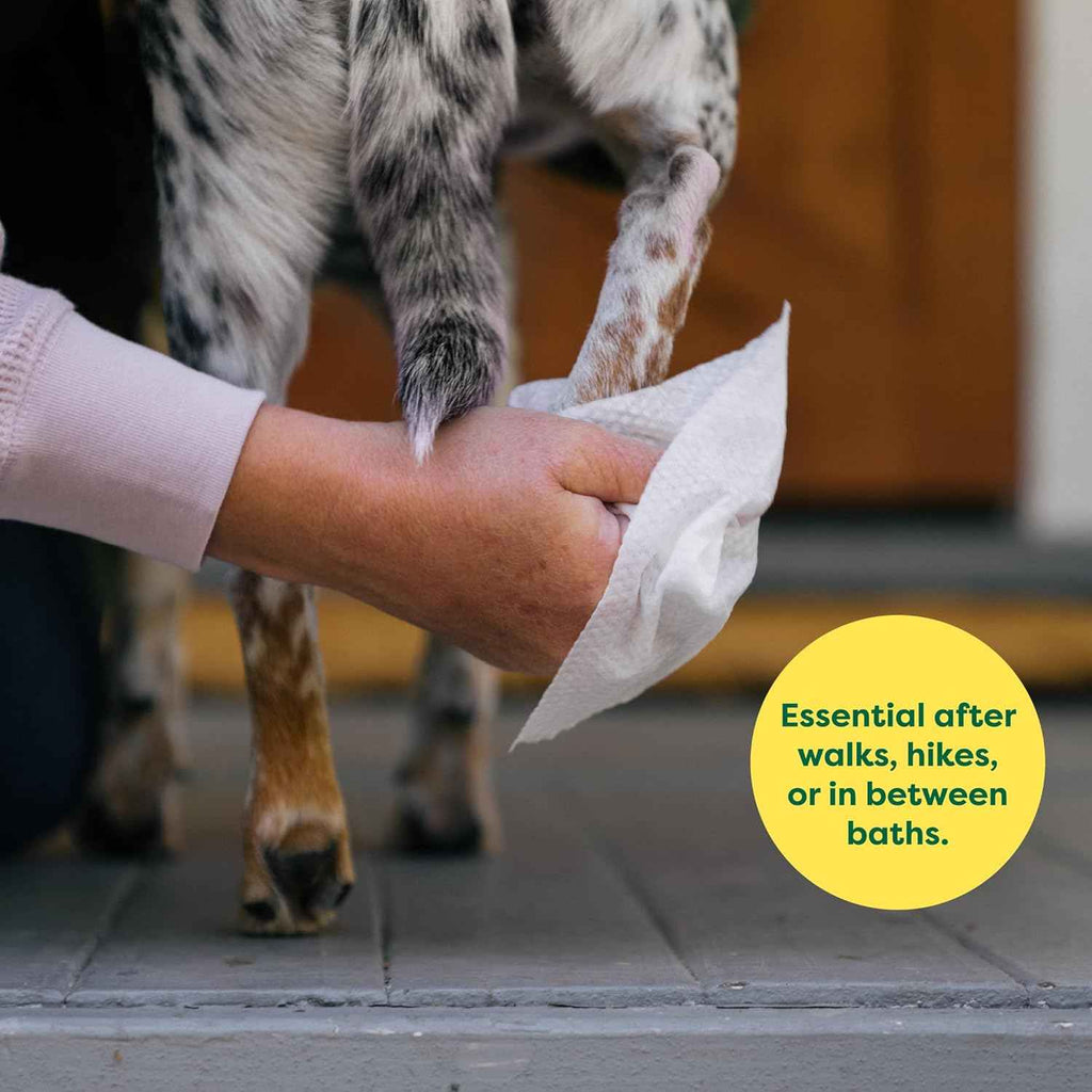 Earth Rated Pet Wipes for Dogs and Cats, Hypoallergenic, Unscented, 100 Count for Grooming Paws and Body