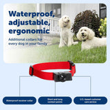 PetSafe Wireless Pet Containment System Receiver Collar - Battery-Operated & Waterproof - Adjustable Receiver Collar with 5 Correction Levels - for Dogs 5lb+