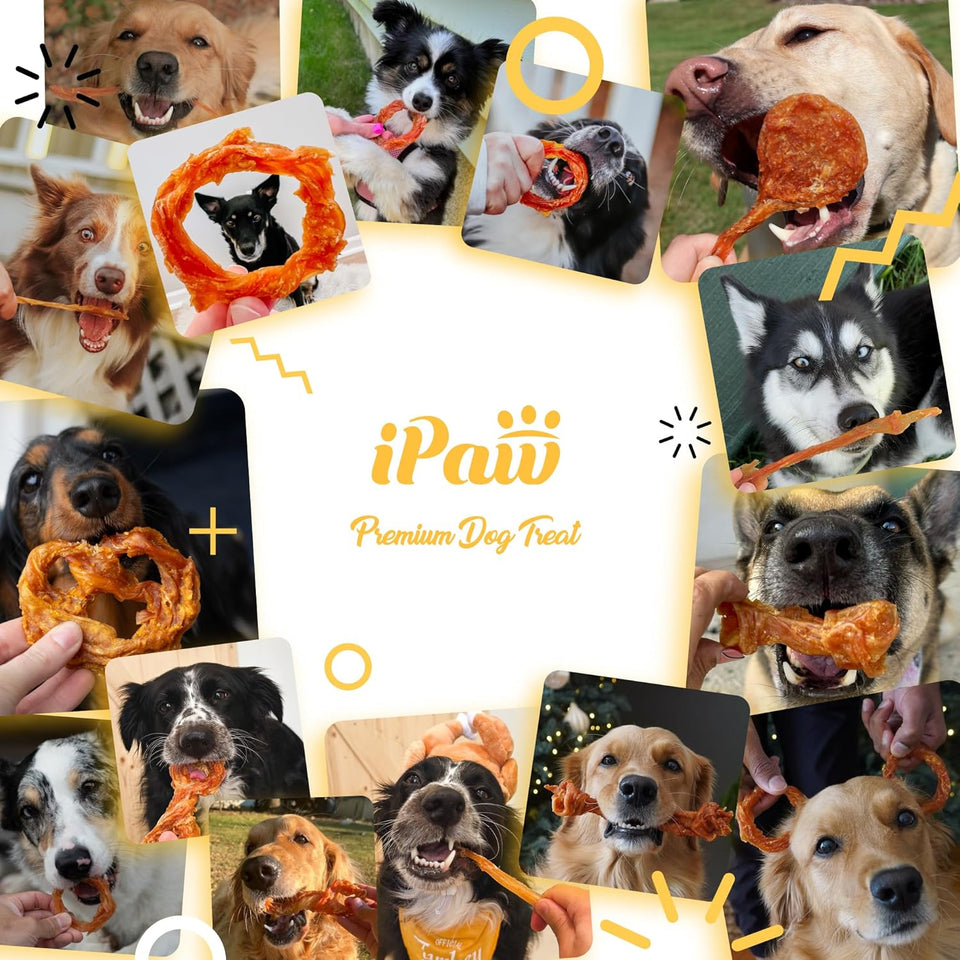 iPaw 100% Turkey Tendons for Dogs, US Sourced Raw Material, Hypoallergenic, All Natural Puppy Chew