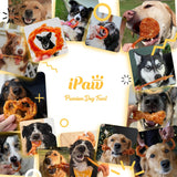 iPaw 100% Turkey Tendons for Dogs, US Sourced Raw Material, Hypoallergenic, All Natural Puppy Chew