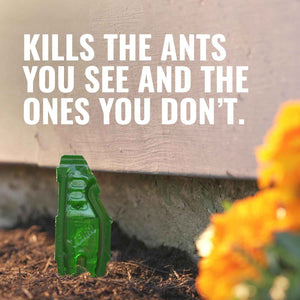 terro t1813b liquid ant baits outdoor ready-to-use terro ant traps kills household ants 12 stakes