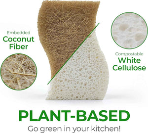Natural Compostable Cellulose Coconut Walnut Kitchen Sponges 12 Pack Gentle Eco Friendly Daily Cleaning