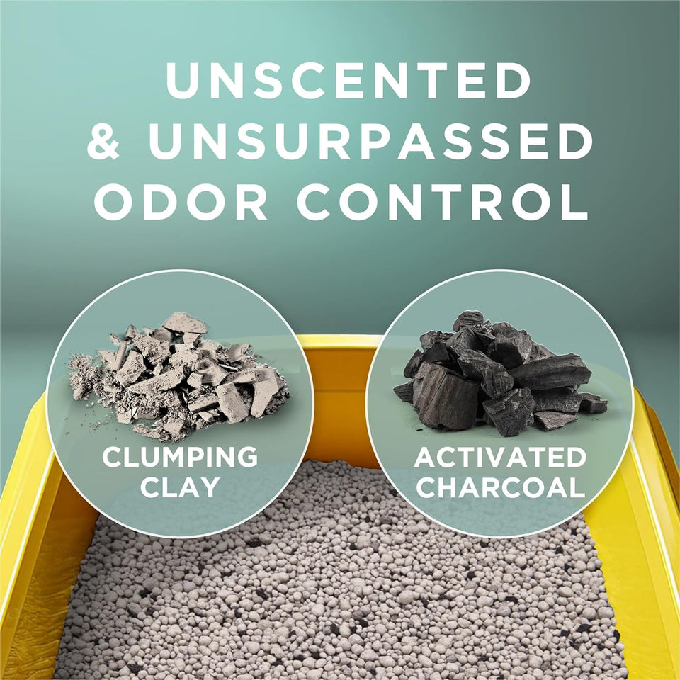 PLrina Tidy Cats Free and Clean Unscented Cat Litter - 38 lb. Box