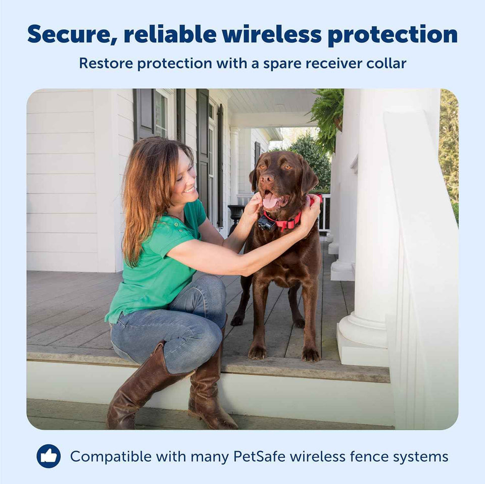 PetSafe Wireless Pet Containment System Receiver Collar - Waterproof, Adjustable, 5 Correction Levels, for Dogs 5lb+