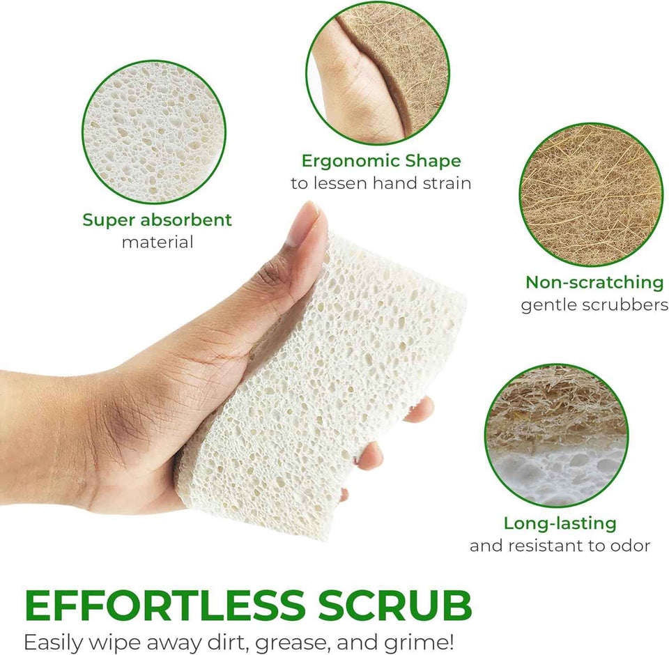 Biodegradable Natural Kitchen Sponge - Compostable Cellulose and Coconut Walnut Scrubber Sponge (12 Pack)