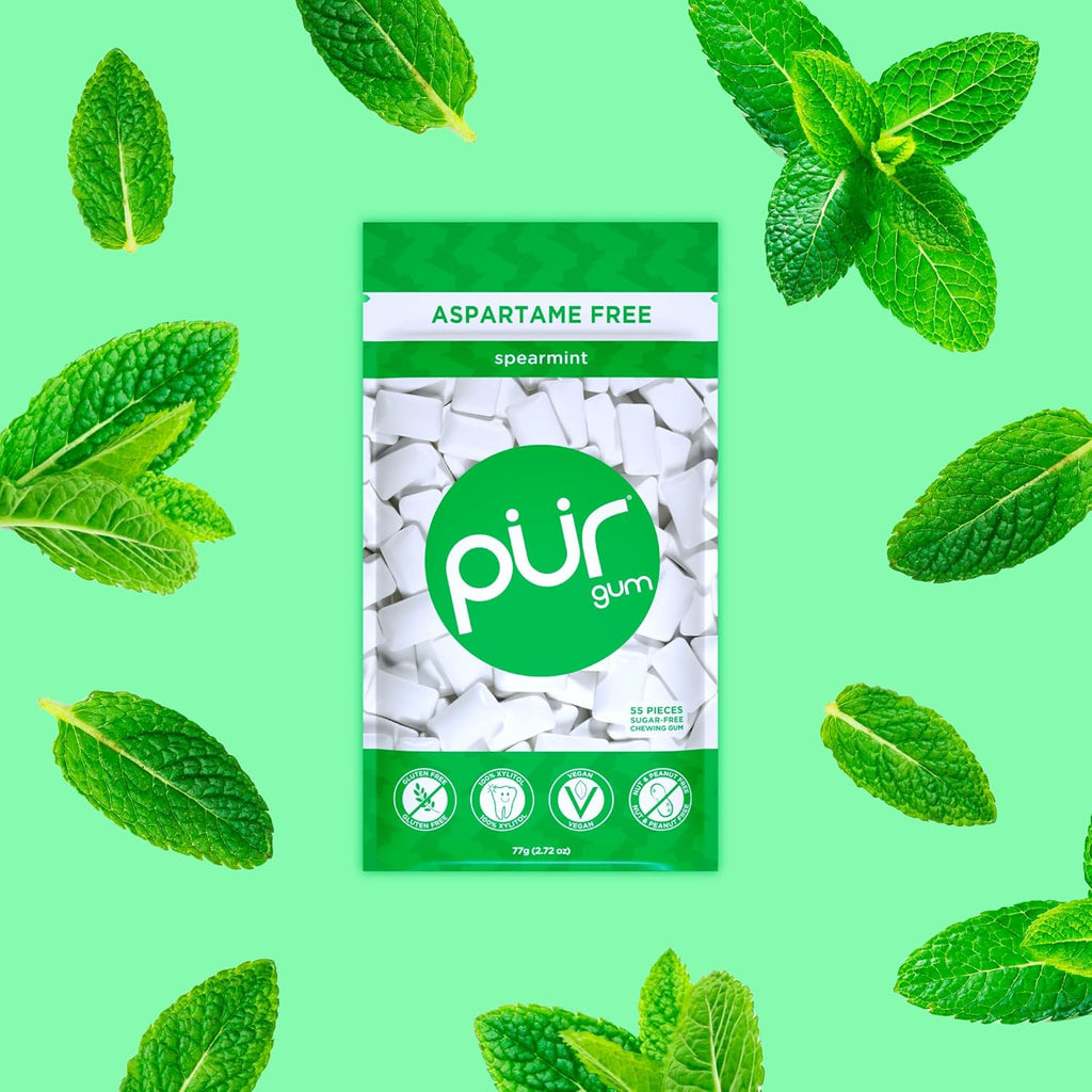 PLR Gum | Aspartame Free Chewing Gum | 100% Xylitol | Natural Spearmint Flavored Gum, 55 Pieces (Pack of 1)