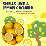 Originally Yellow Plant-Based Kitchen Cleaner | Powered by Natural Vinegar & Infused with Organic Lemon | Multipurpose Kitchen Counter Cleaner Works on Tile, Wood, Granite, & Marble, 16 Fl Oz (3-Pack)