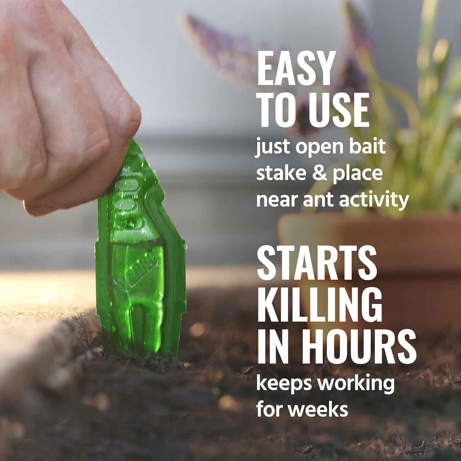 terro t1813b liquid ant baits outdoor ready-to-use terro ant traps kills household ants 12 stakes
