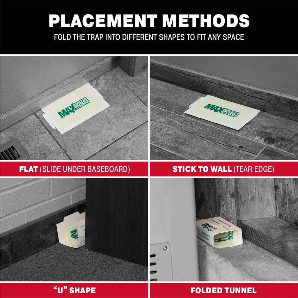 Catchmaster Max-Catch Mouse & Insect Glue Trap 36PK, Mouse Traps Indoor for Home, Sticky Pest Control Adhesive Tray for Catching Bugs, Non Toxic Bulk Unscented Glue Boards