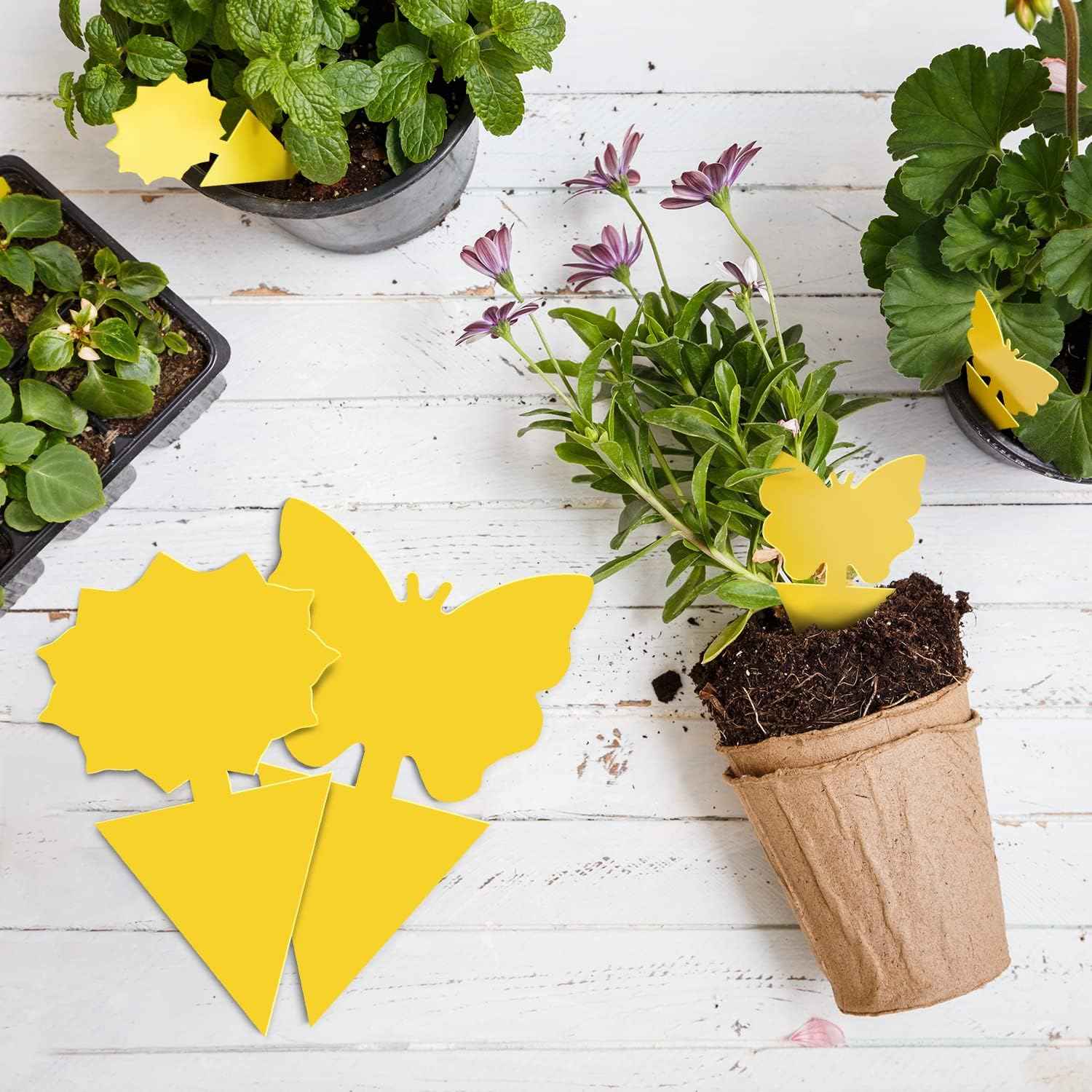 Landisun Fruit Fly Traps 48PCS Fungus Gnat-Traps for Indoor-Outdoor Yellow Fruit-Fly Sticky-Trap Plants Flying Bug Insects Traps