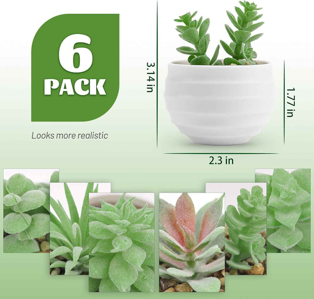 Der Rose Set of 6 Succulents Plants Artificial in Pots Small Fake Plants for Bedroom Aesthetic Living Room Shelf Bathroom Decor Office Desk Accessories