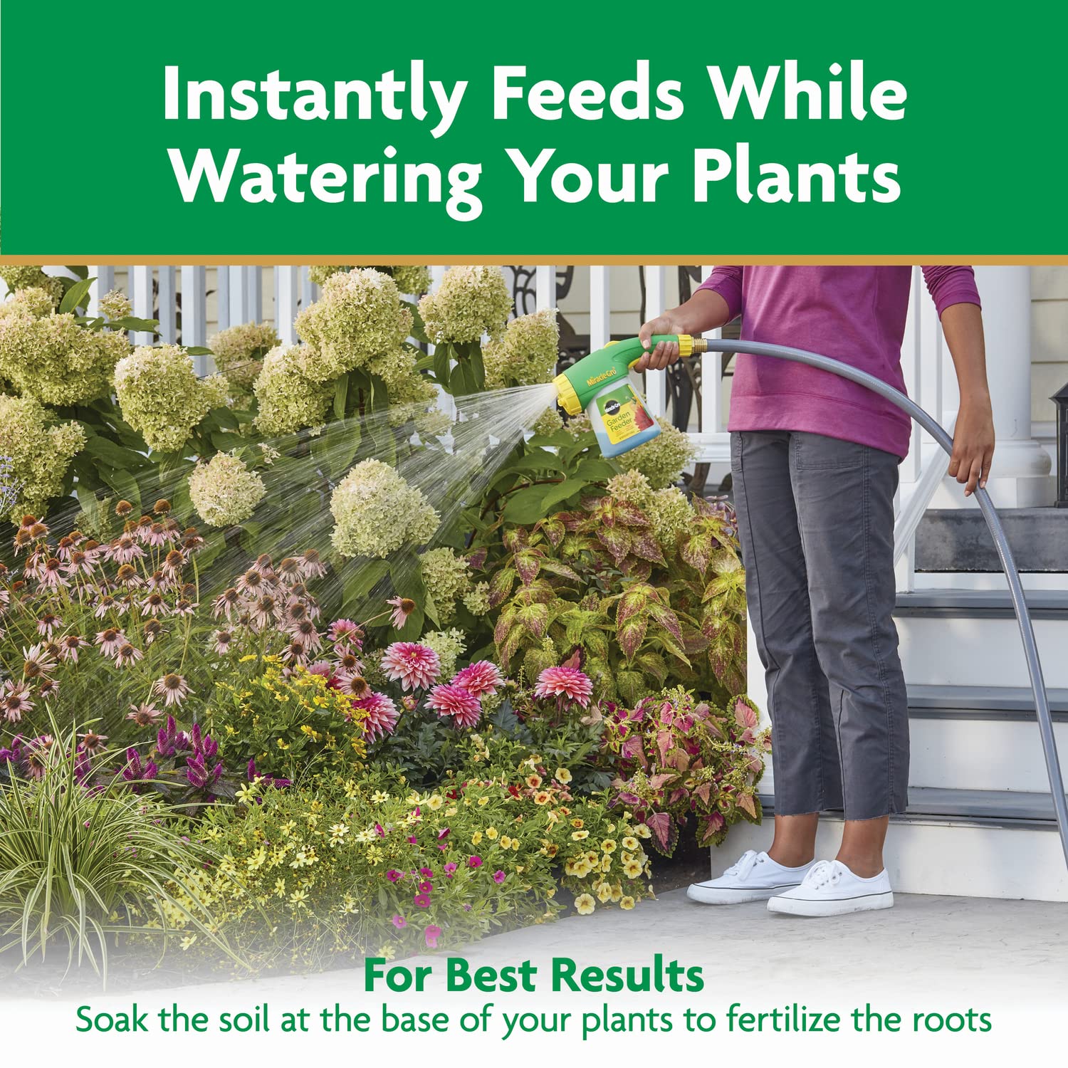 Miracle-Gro Water Soluble All PLrpose Plant Food - Fertilizer For All Indoor or Outdoor Plants including Roses, Flowers, Vegetables, Houseplants, Trees, and Shrubs, 3 lbs.