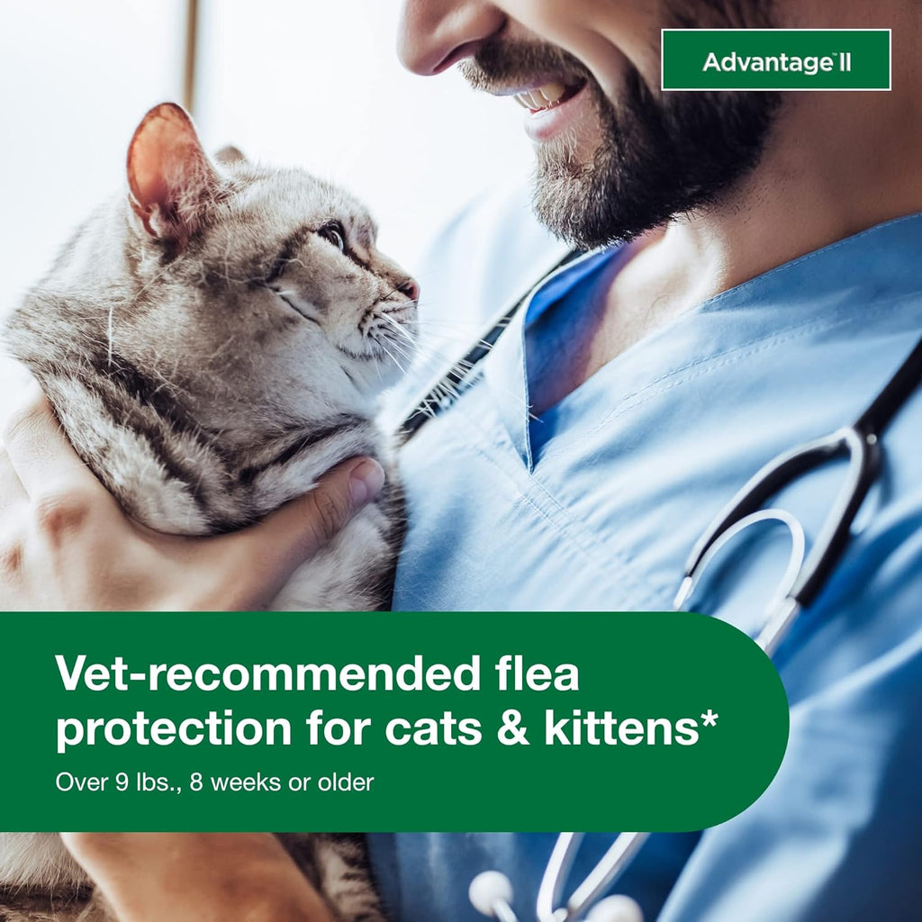 Advantage II Large Cat Vet-Recommended Flea Treatment & Prevention | Cats Over 9 lbs. | 2-Month Supply