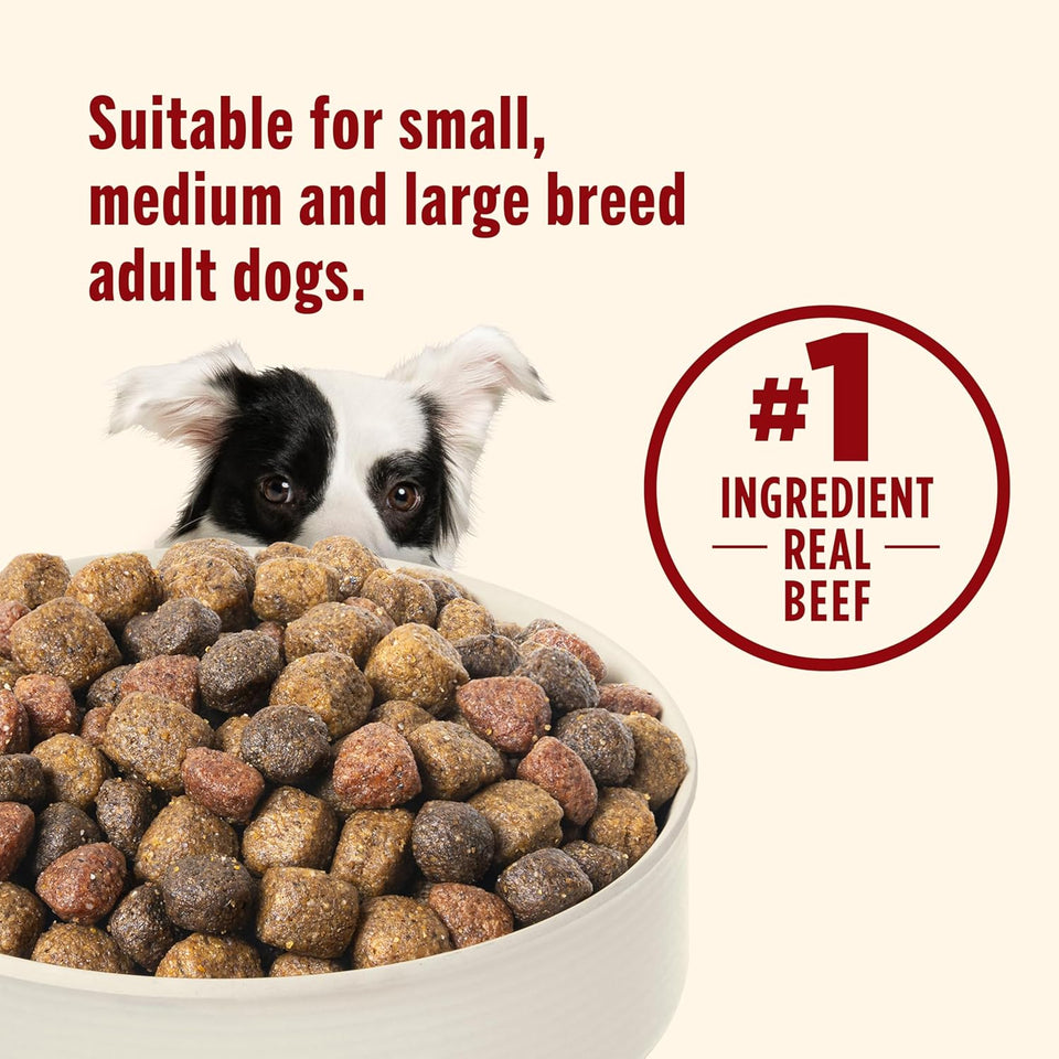 rachael ray nutrish real beef dry dog food adult dogs 40 lb whole health blend