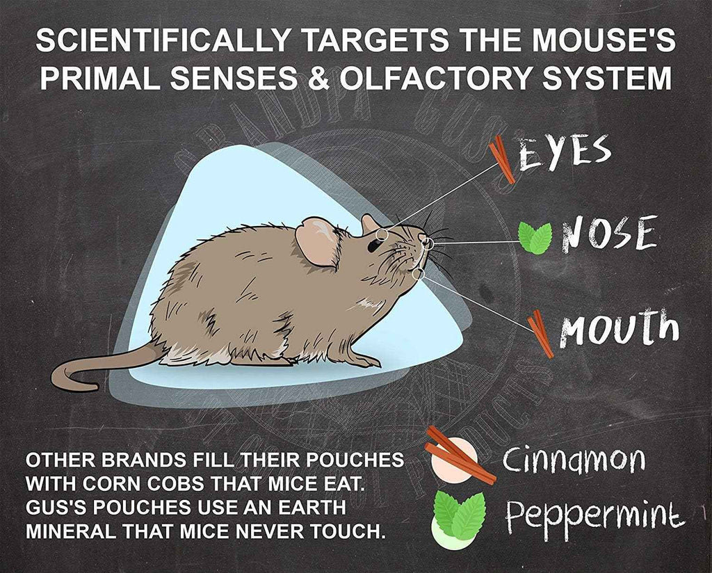 Grandpa Gus's Rodent Repellent Spray, Peppermint & Cinnamon Oil, Prevents Mouse/Rats from Nesting & Chewing on Wires, 16 fl oz (Pack of 1)