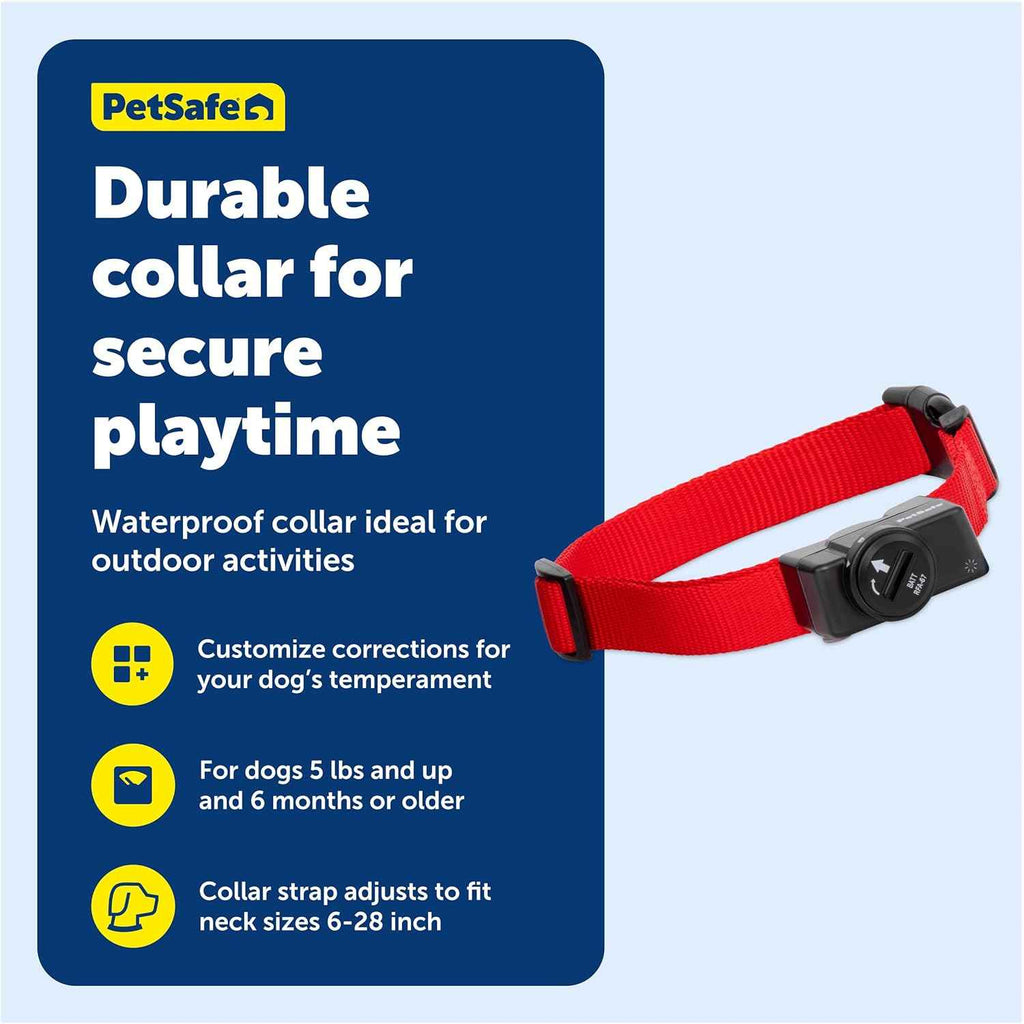 PetSafe Wireless Pet Containment System Receiver Collar - Waterproof, Adjustable, 5 Correction Levels, for Dogs 5lb+