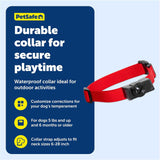 PetSafe Wireless Pet Containment System Receiver Collar - Waterproof, Adjustable, 5 Correction Levels, for Dogs 5lb+