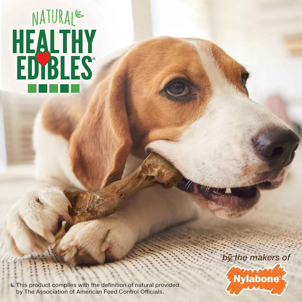 Nylabone Healthy Edibles WILD Natural Longer-Lasting Bison Flavor Bone Chew Treats for Dogs, Medium - Up to 35 lbs (2 Count)