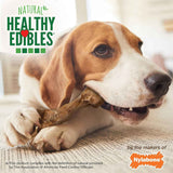 Nylabone Healthy Edibles WILD Natural Longer-Lasting Bison Flavor Bone Chew Treats for Dogs, Medium - Up to 35 lbs (2 Count)