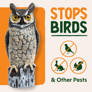 Dalen Large Fake Owl Decoy to Scare Birds Away - 16 in Hand-Painted Great Horned Owl Garden Scarecrow for Natural Pest Control - Fixed Head Design - Secure Upright by Filling with Sand/Gravel Only